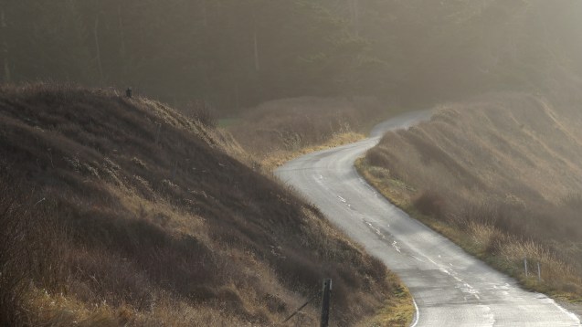 Hairpin Road, Whidbey Island, WA