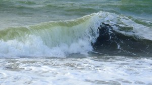 Water Play 1104201404