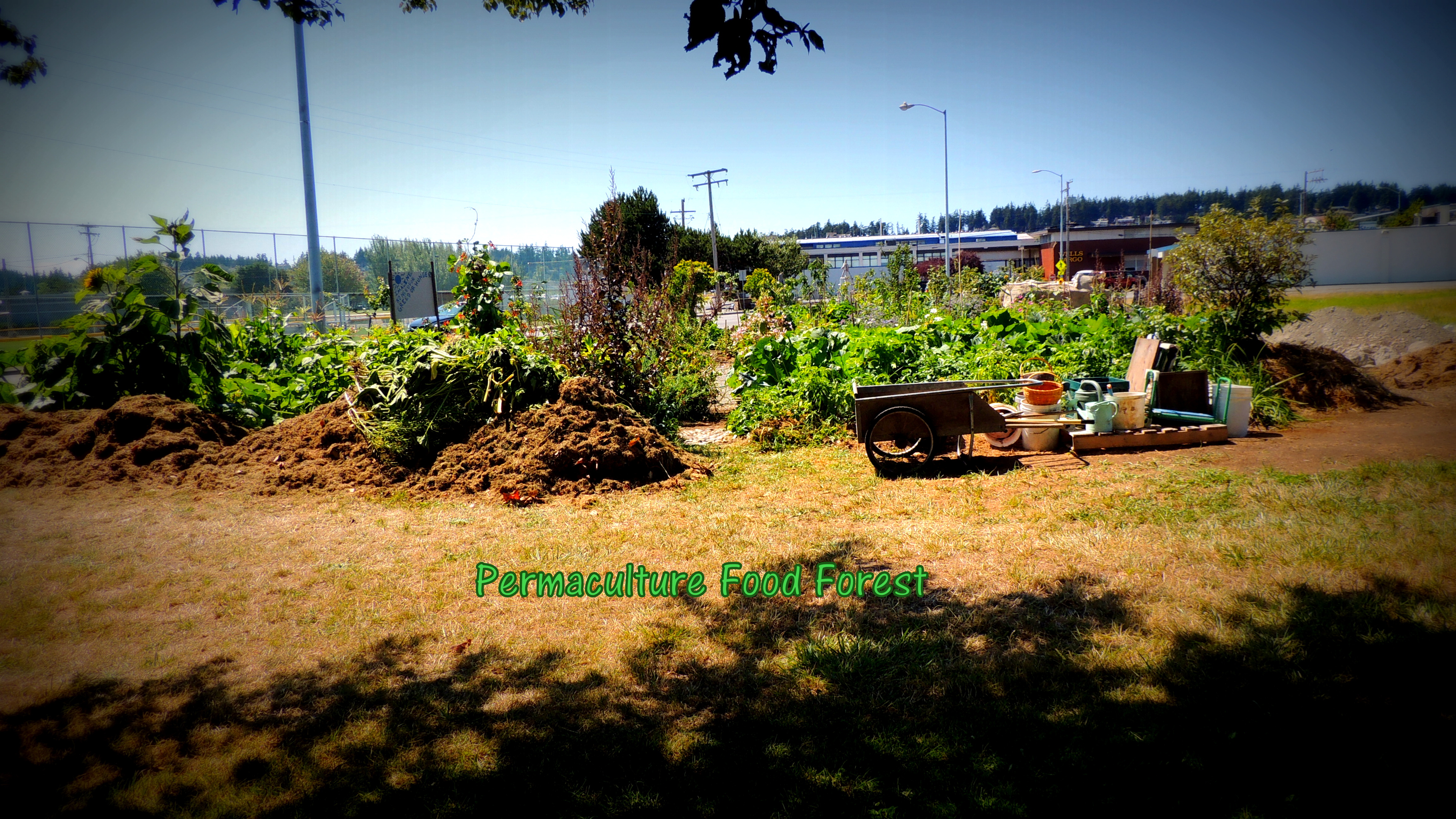 Portland Food Forest Initiative 501(c)3, image size:4608x2592