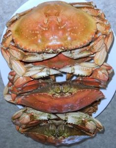 Crabs9